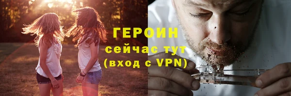 индика Михайлов