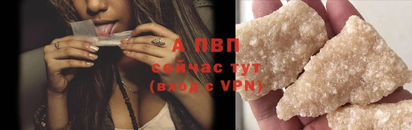СК Гусь-Хрустальный