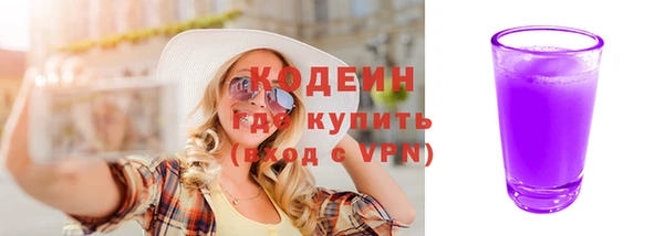 индика Михайлов