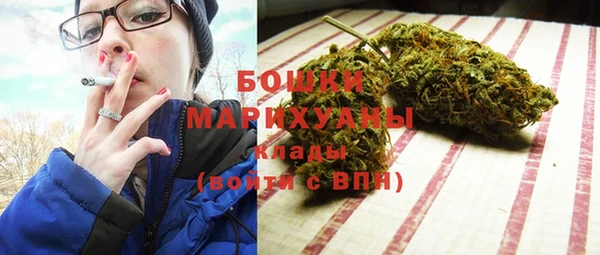индика Михайлов