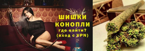 индика Михайлов