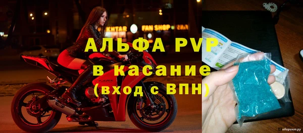 индика Михайлов