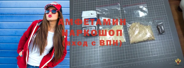 индика Михайлов