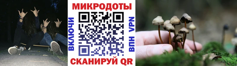 купить наркоту  Печоры  Псилоцибиновые грибы Psilocybe 